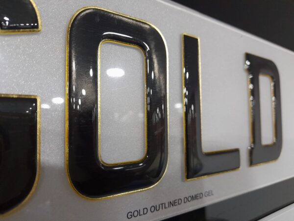 Gold Outlined 3D Gel Plates (Show Plate Only)