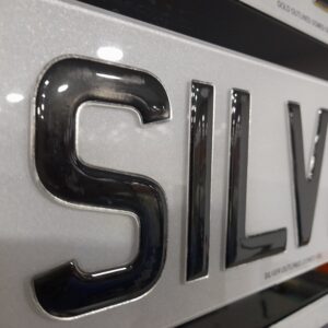 Silver Chrome Outlined 3D Gel Plates (Show Plate Only)